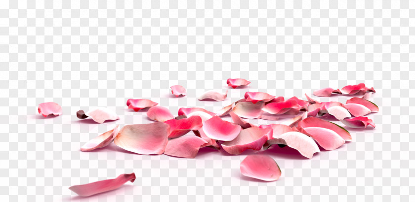 Peach Petals,festival,Flowers,Fall Decoration,Pink Creative,Petals Wedding Rose Petal Nail Exfoliation Flower PNG