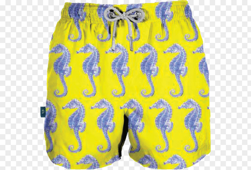 Seahorse. Trunks Swim Briefs Swimsuit Visual Arts Shorts PNG