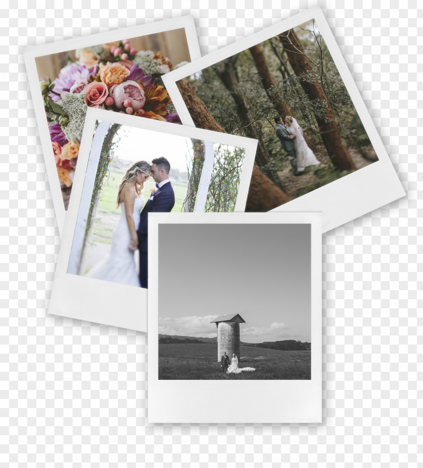 Wedding Suits Printing Photographic Paper Printer PNG