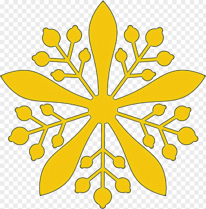 Yellow Flower Plant Symmetry PNG