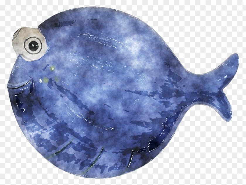 Fish Watercolor Marine Biology Mammal PNG