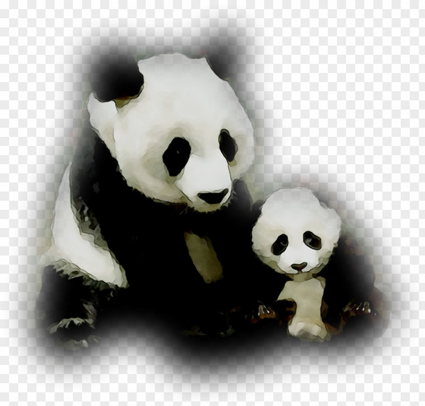 Giant Panda Stuffed Animals & Cuddly Toys Z&Z Punk Shop Child Terrestrial Animal PNG