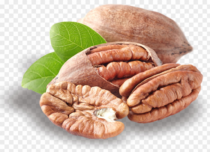 Walnut Butter Pecan Nut Praline Dried Fruit PNG