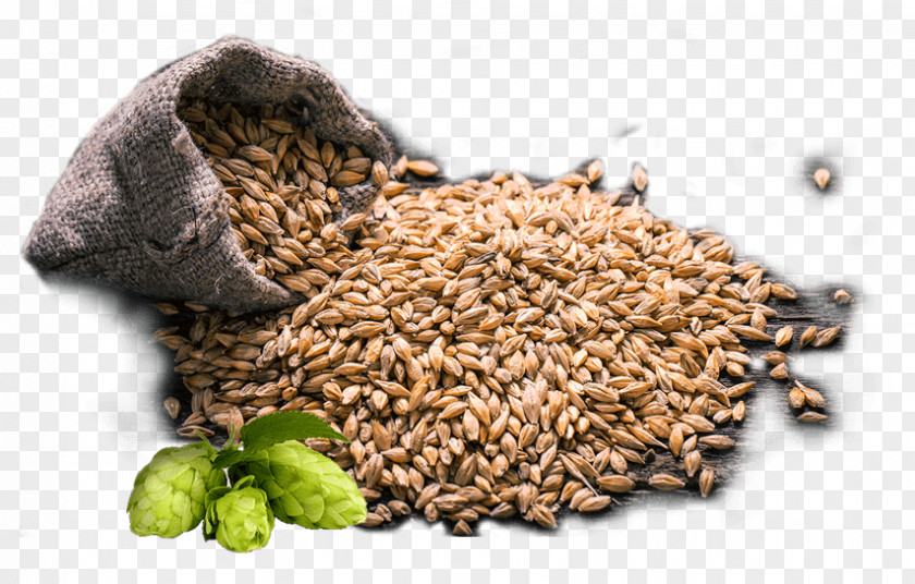 Beer Whole Grain Vegetarian Cuisine Cereal Superfood PNG