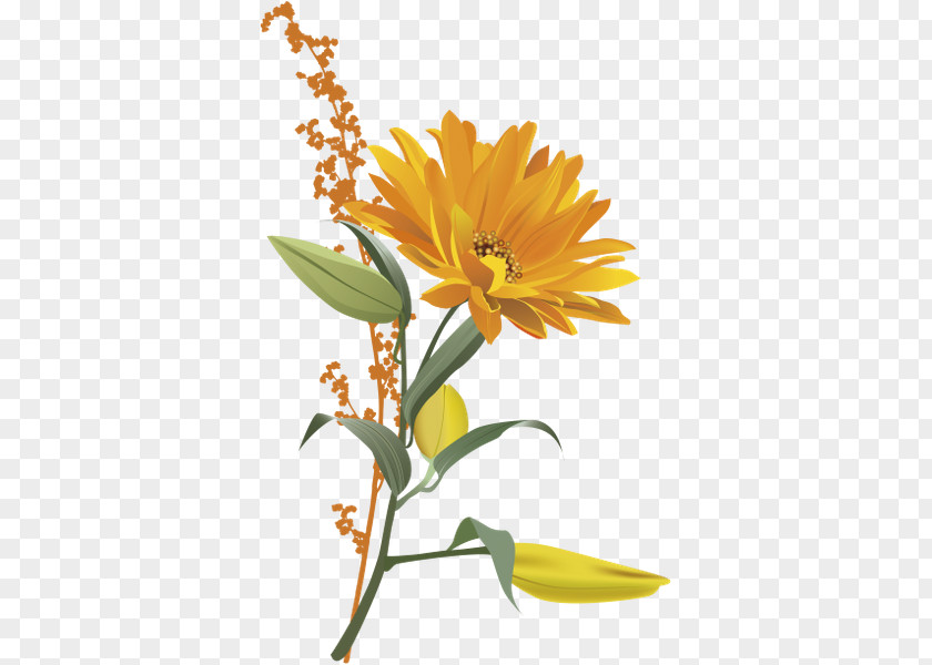 Flower Orange Blossom Clip Art PNG