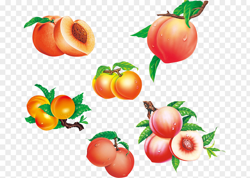 Peaches Saturn Peach Fruit Auglis PNG