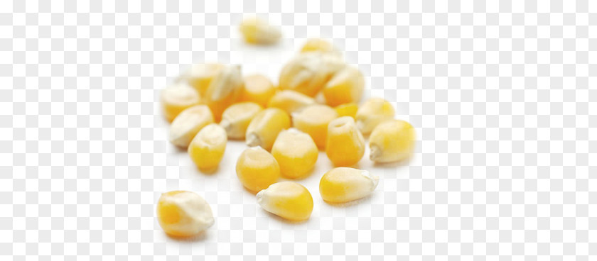 Popcorn Corn On The Cob Maize VRT D.o.o. Cereal PNG