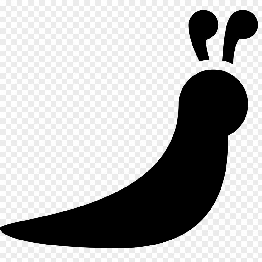 Snail Slug Clip Art PNG