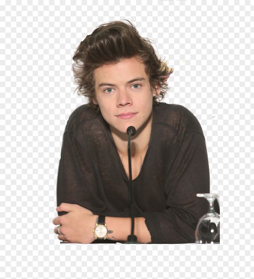 The Concert FilmPs Style Harry Styles Zayn Malik Where We Are Tour X Factor One Direction: PNG