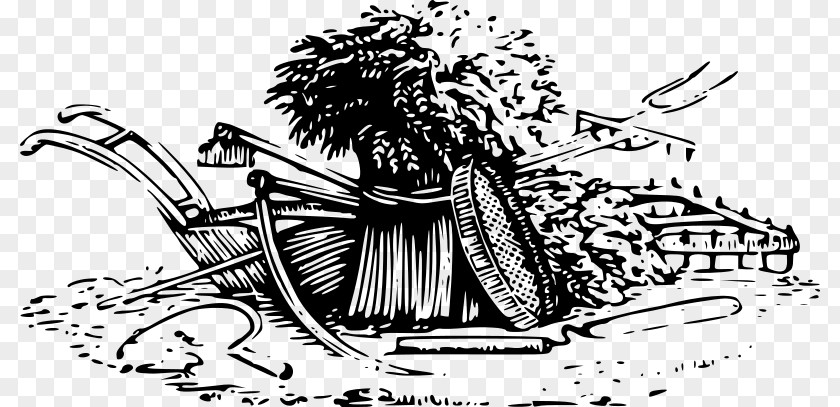 Wheat Harvest Drawing Clip Art PNG