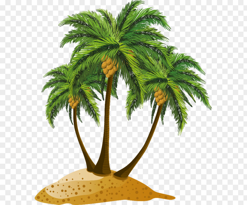 Beach Clip Art PNG