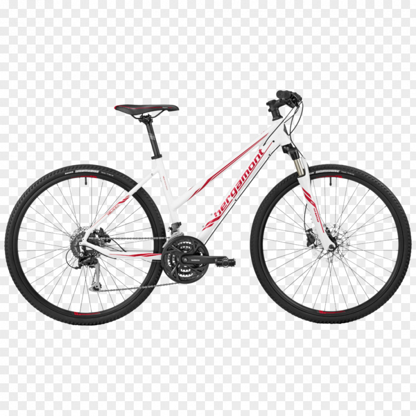 Bicycle Single-speed Hybrid Mountain Bike Cyclo-cross PNG