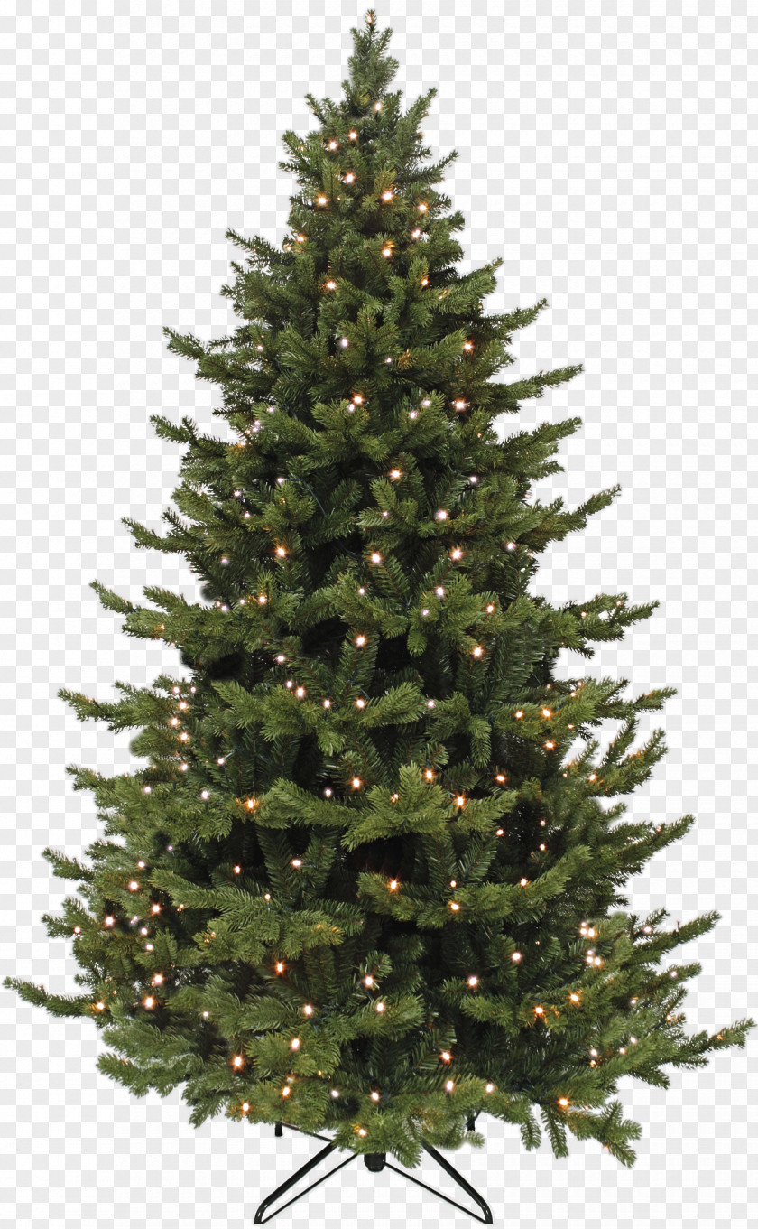 Tree Artificial Christmas Spruce Abies Bracteata PNG