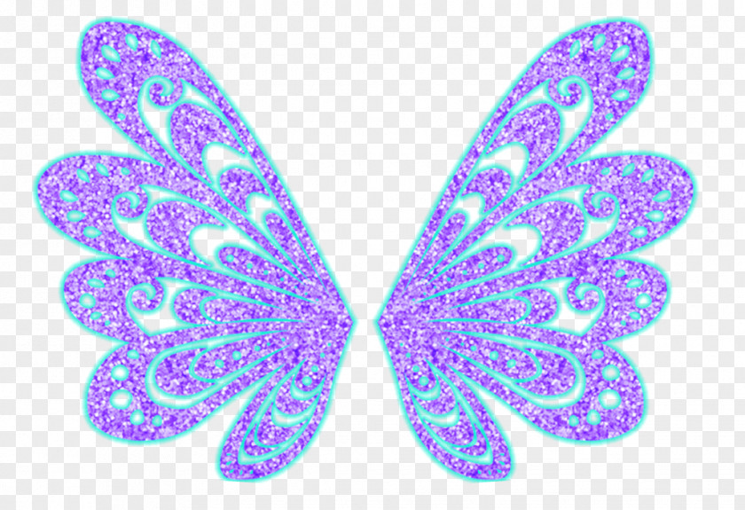 Butterfly Brush-footed Butterflies Symmetry Pattern PNG