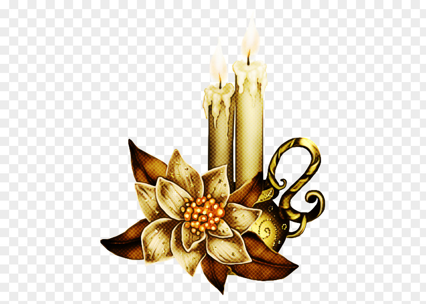 Candle Holder Plant PNG