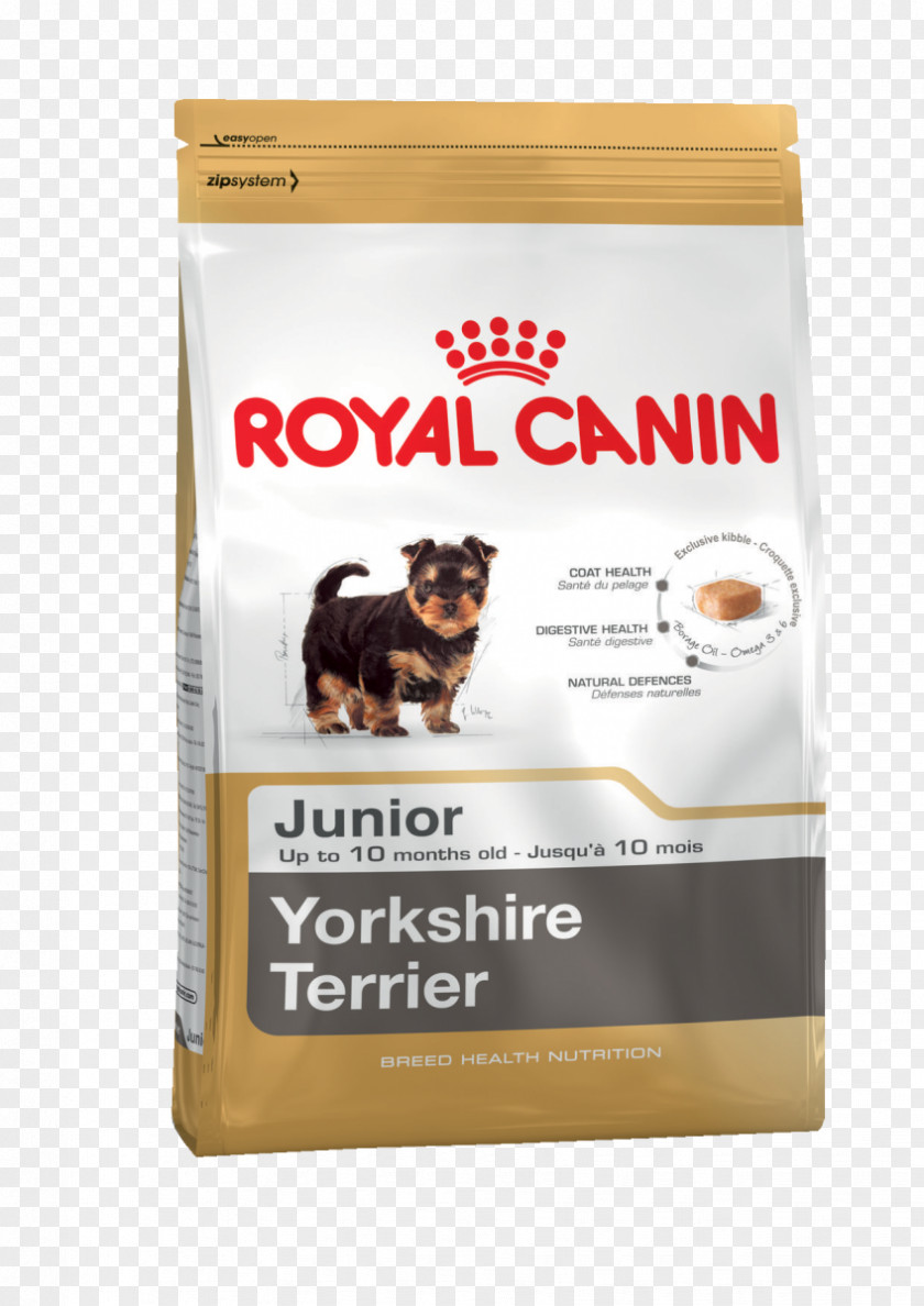 Puppy Yorkshire Terrier Cat Food Bulldog PNG
