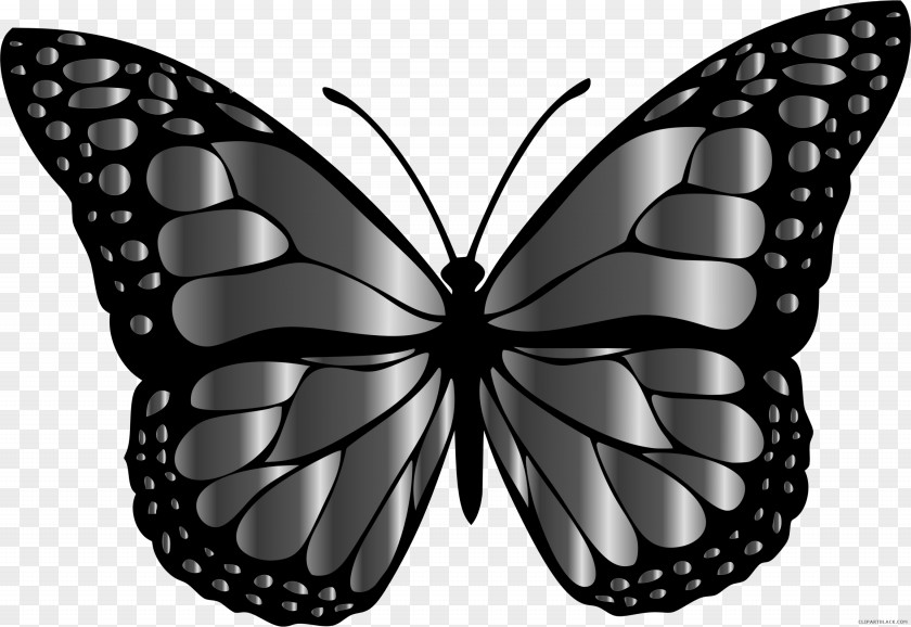 Butterfly Monarch Clip Art Brush-footed Butterflies Insect PNG