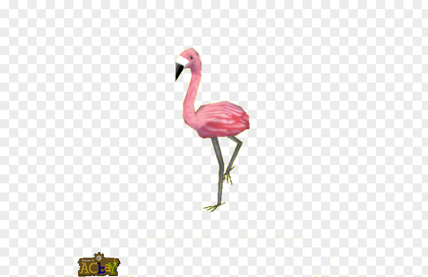Crane Bird Pink M Beak Neck PNG