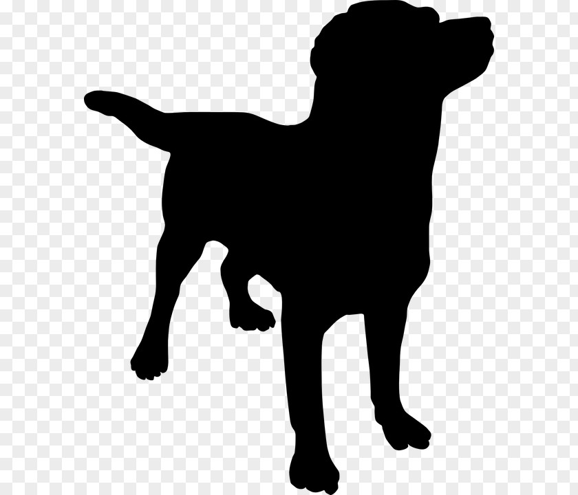 Golden Retriever Labrador Puppy Clip Art PNG