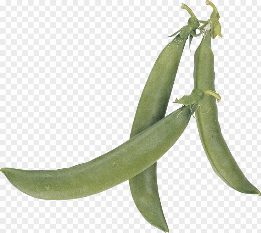 Pea Snap Vegetable Legume Food PNG