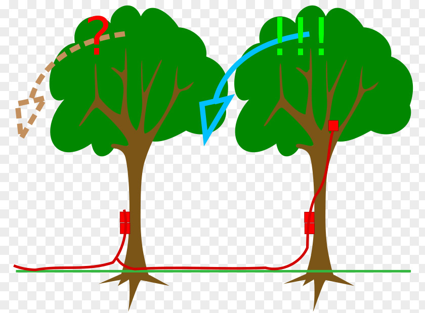 Tree Explosive Material Clip Art PNG