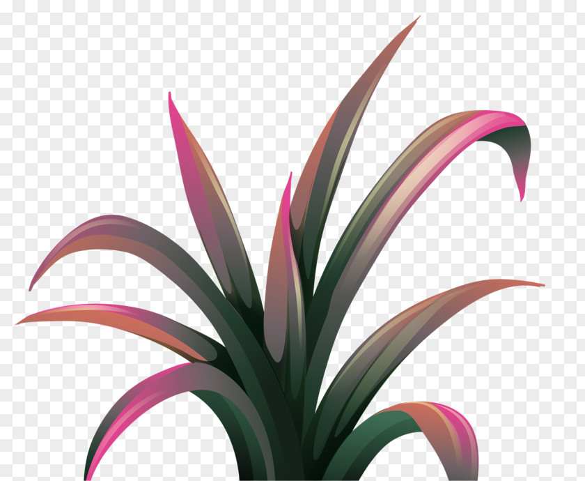 Beautiful Plant Download Clip Art PNG