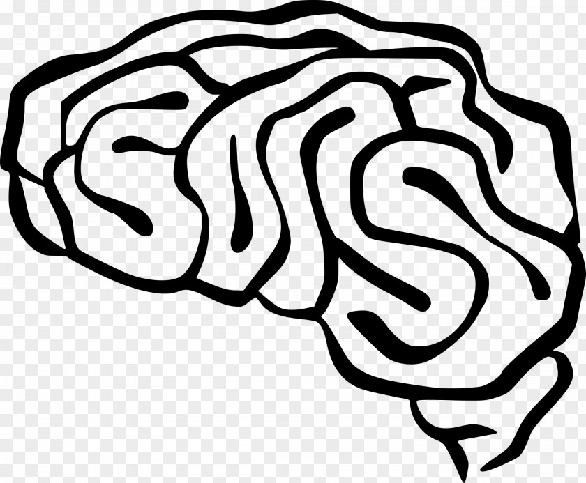 Brain Drawing Cliparts Blue Project Human Clip Art PNG