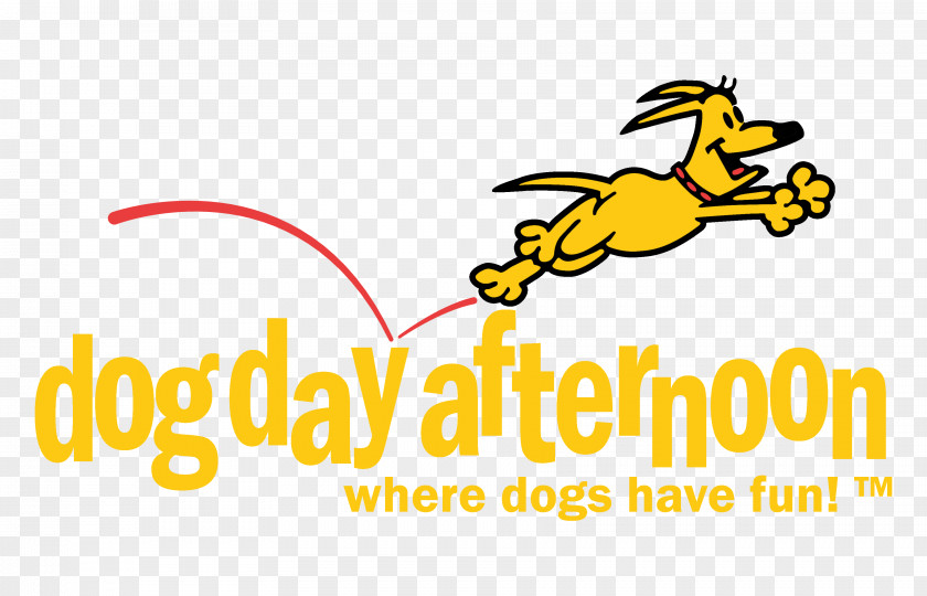 Dog Daycare Day Afternoon The Resort Citywalk Orlando PNG