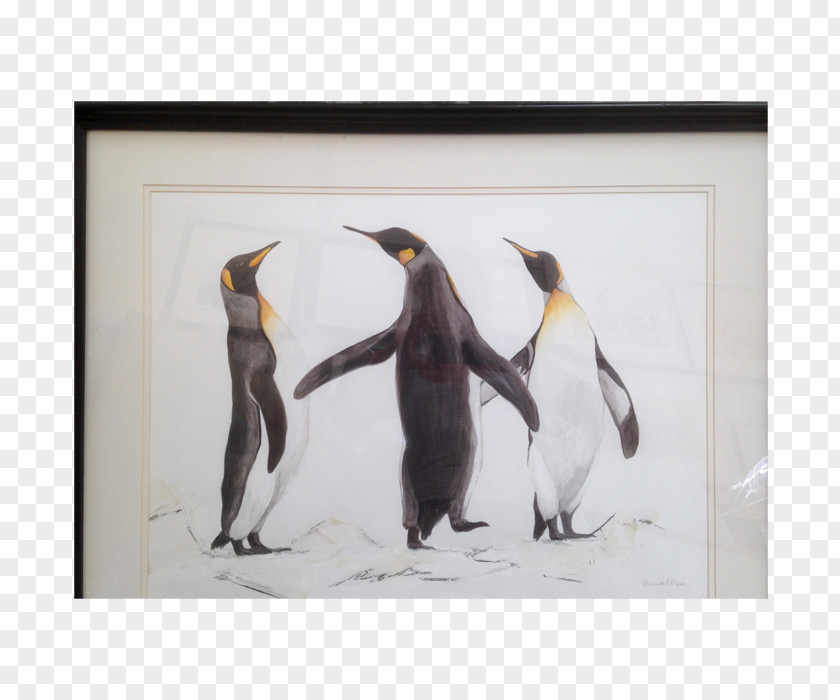 Family Gathering King Penguin Flightless Bird Beak PNG