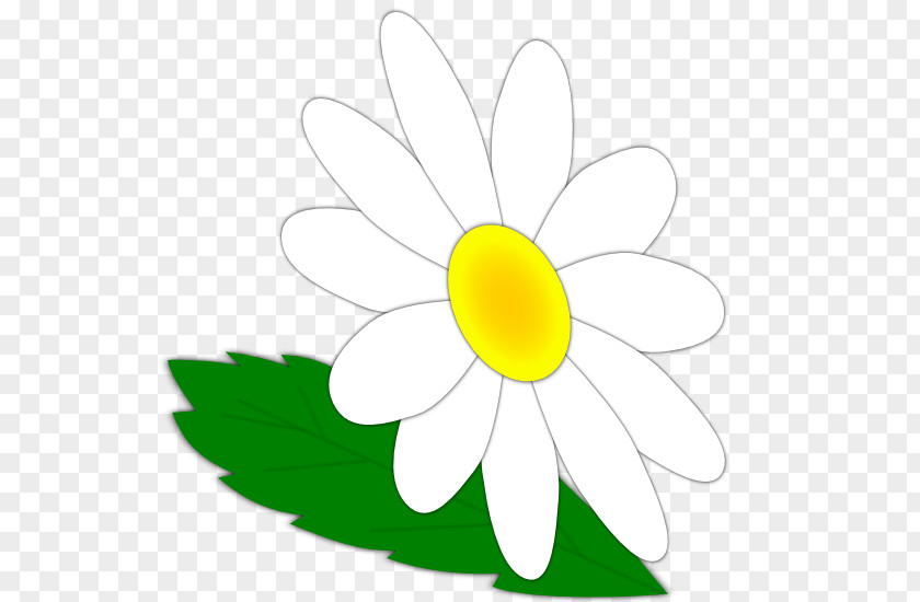 Common Daisy Oxeye Cut Flowers Sunflower Clip Art PNG