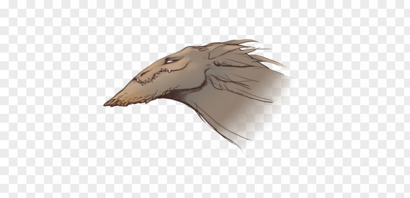 Dragon Head Beak Cygnini Bird Goose Duck PNG