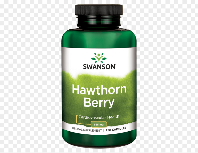 Hawthorn Berry Dietary Supplement Common Chlorella Product Cell PNG
