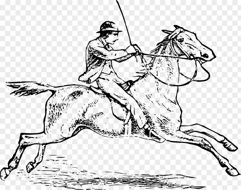 Horse Riding Equestrian Rein Clip Art PNG