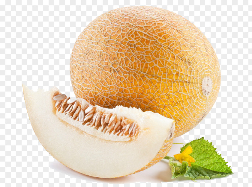 Melon Honeydew Cantaloupe Hami Cucurbita Pepo PNG