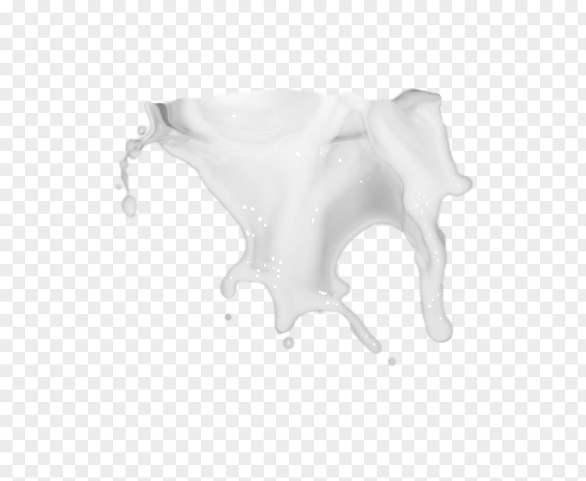 Milk Splash Healthy Food Cows Dairy Product PNG