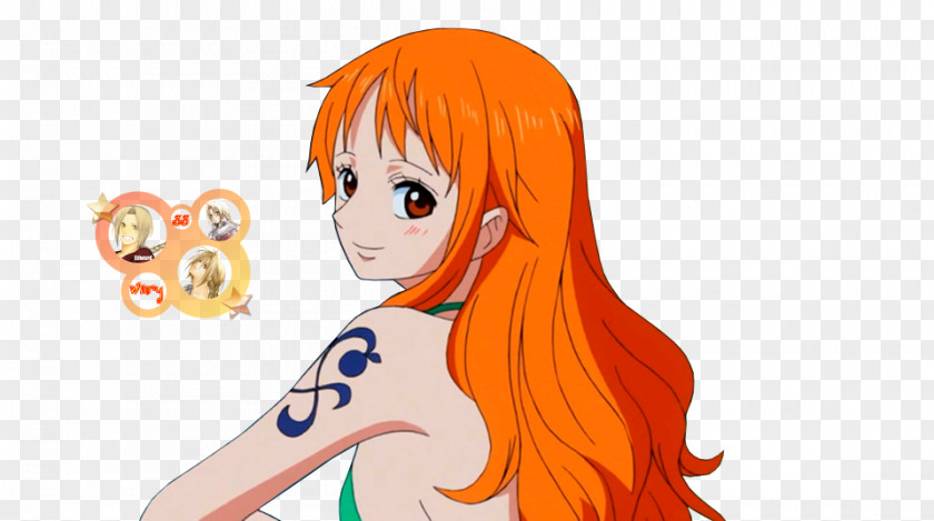 One Piece Nami Monkey D. Luffy Piece: Pirate Warriors Gol Roger PNG