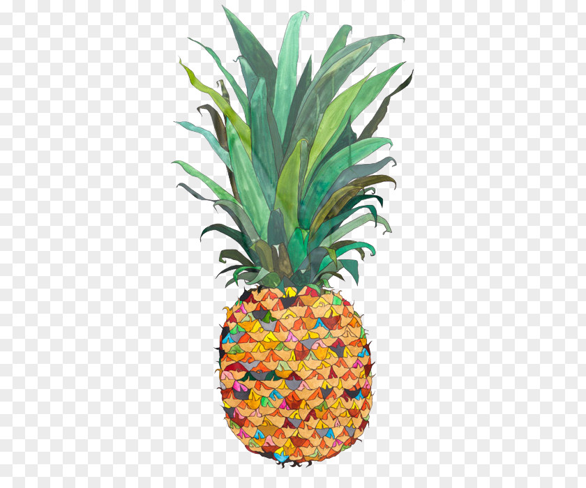 Pineapple Outline Piña Colada Upside-down Cake Drawing Painting PNG