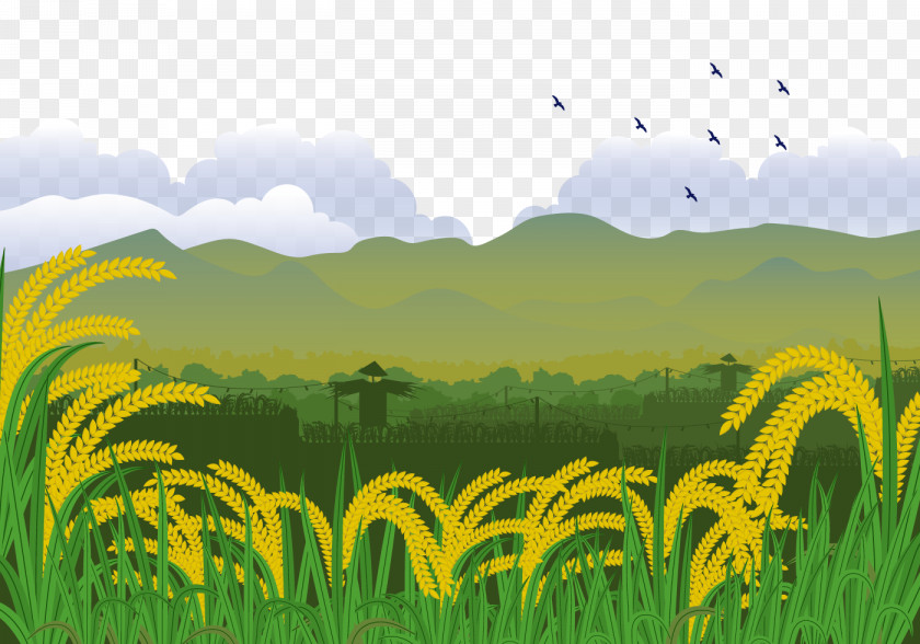 A Scarecrow In Paddy Field Euclidean Vector Illustration PNG