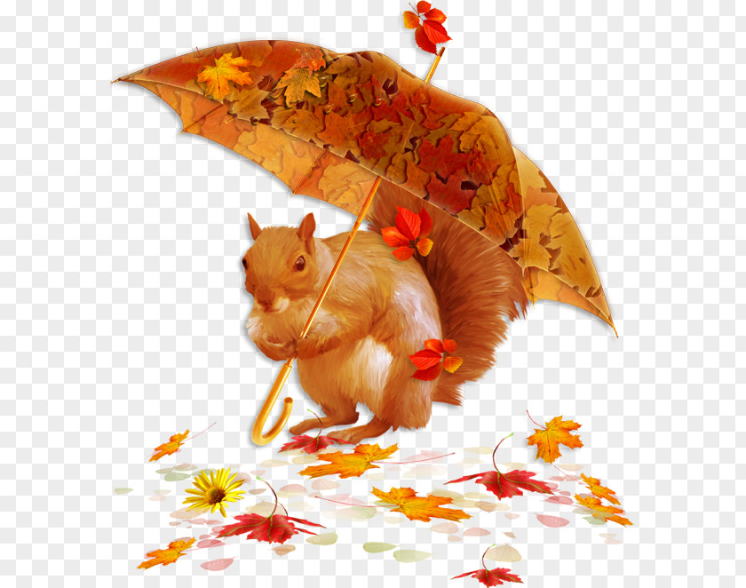 Autumn Blog Rain Social Media PNG