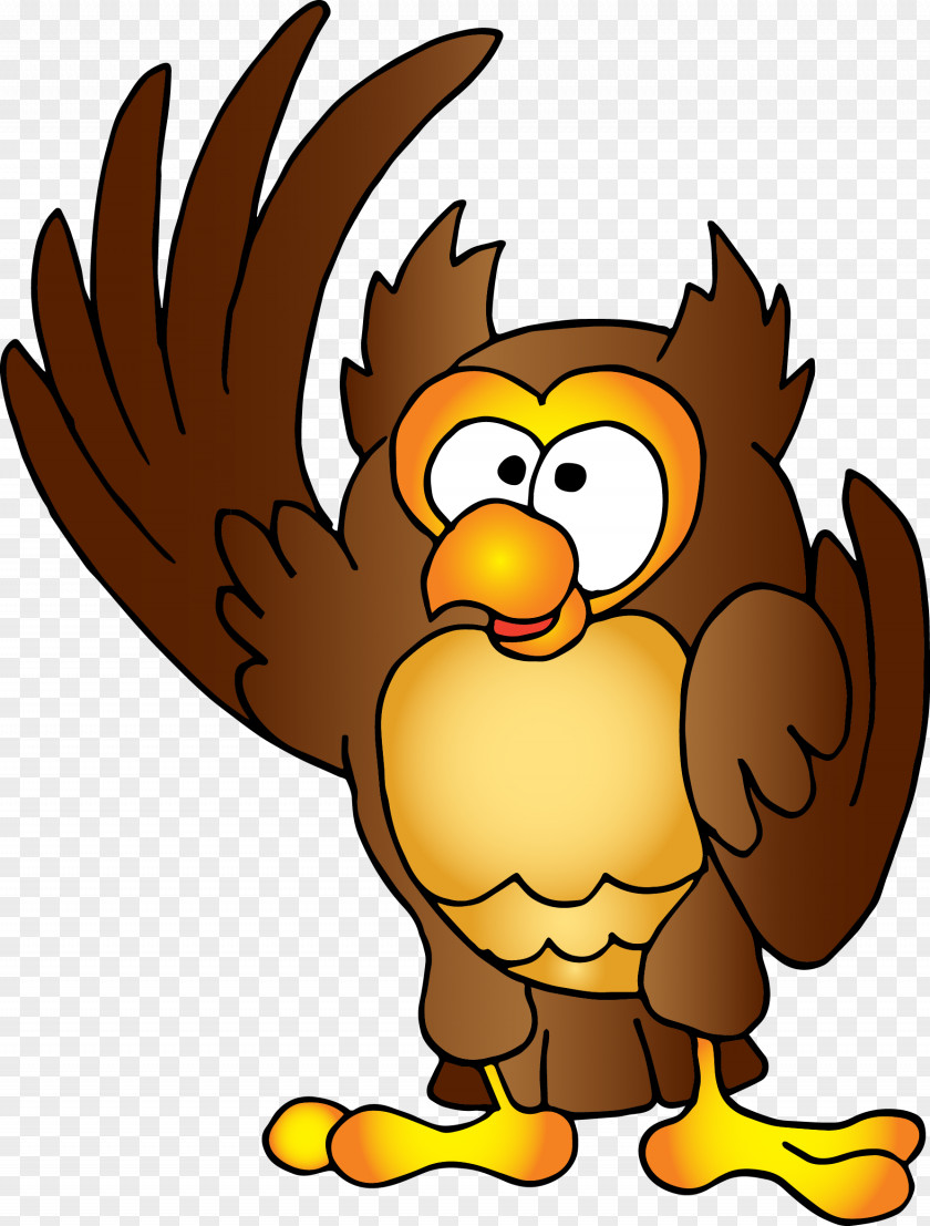 Eagle Bird Of Prey Supreme Background PNG