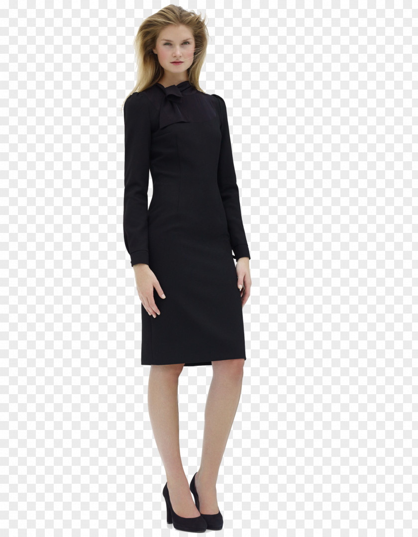 Evening Dress Little Black Wrap Sleeve Sheath PNG