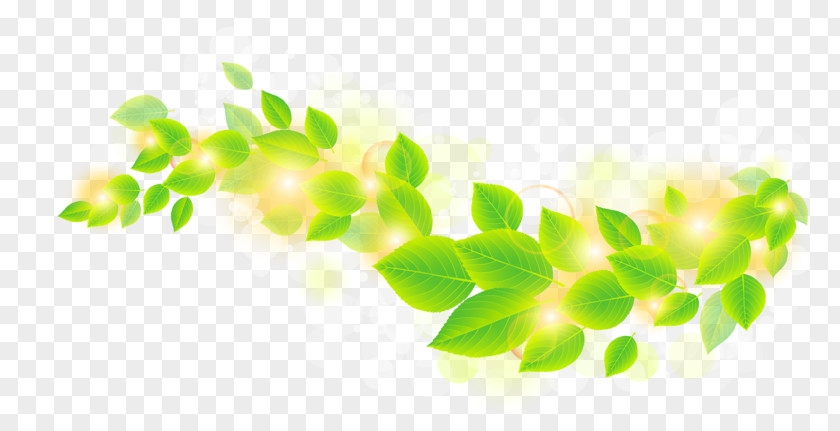 Green Leaf Background Clip Art PNG
