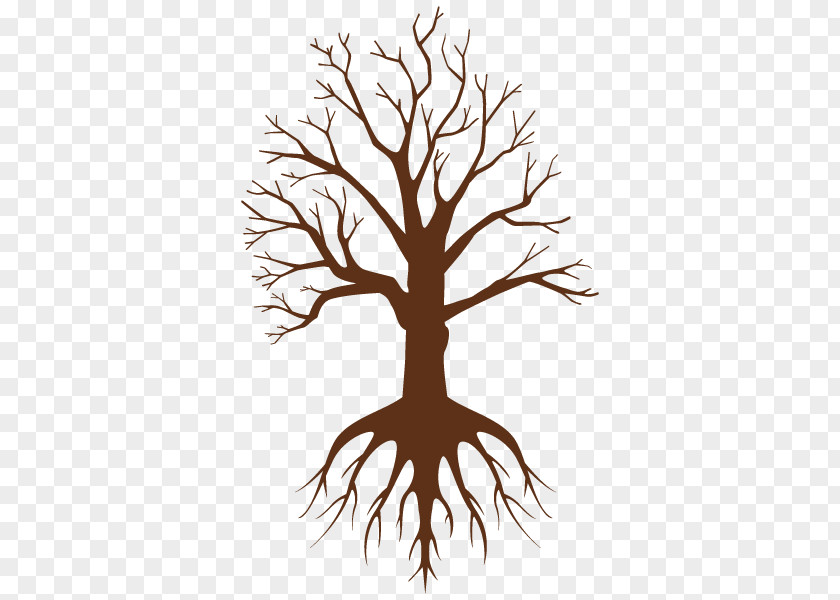 Illustration Design Root Information Tree PNG