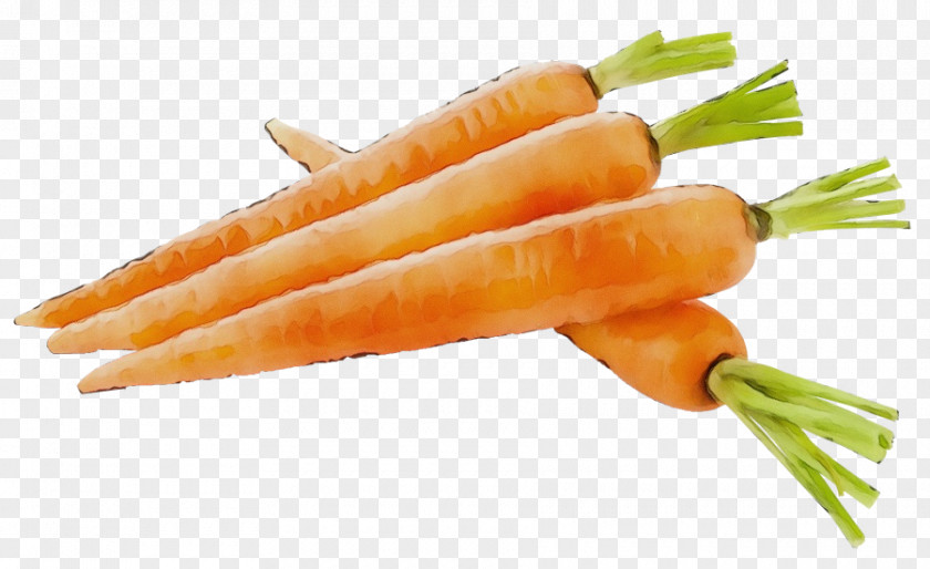 Ingredient Cuisine Carrot Vegetable Food Root Baby PNG