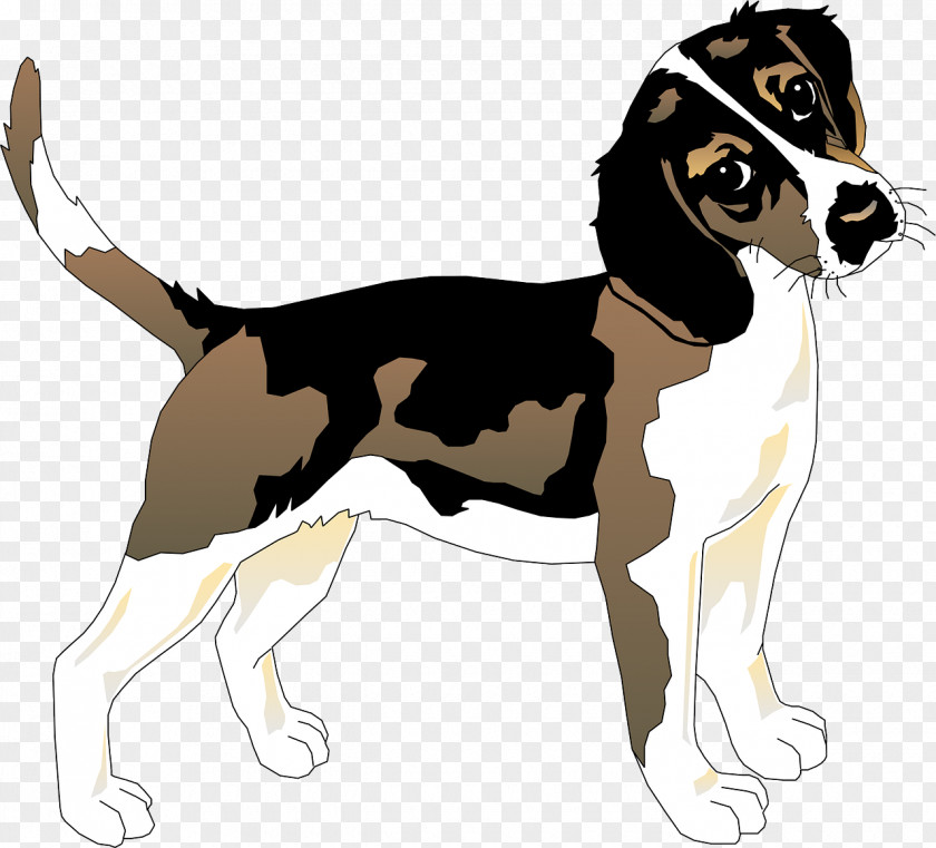 Loyal Puppy Beagle Basset Hound Siberian Husky PNG