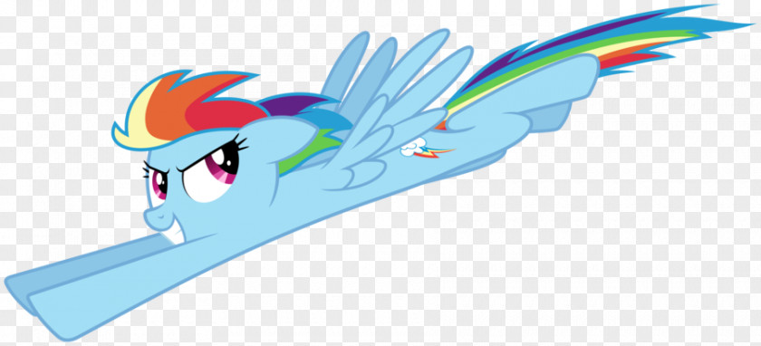 My Little Pony Rainbow Dash Twilight Sparkle Applejack PNG