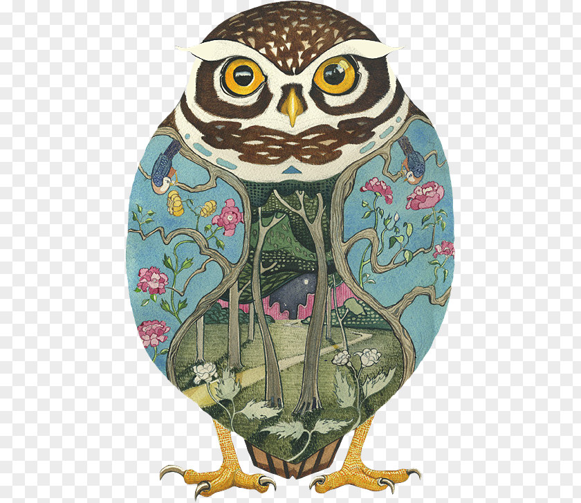 Owl Illustration Watercolor Painting Art PNG