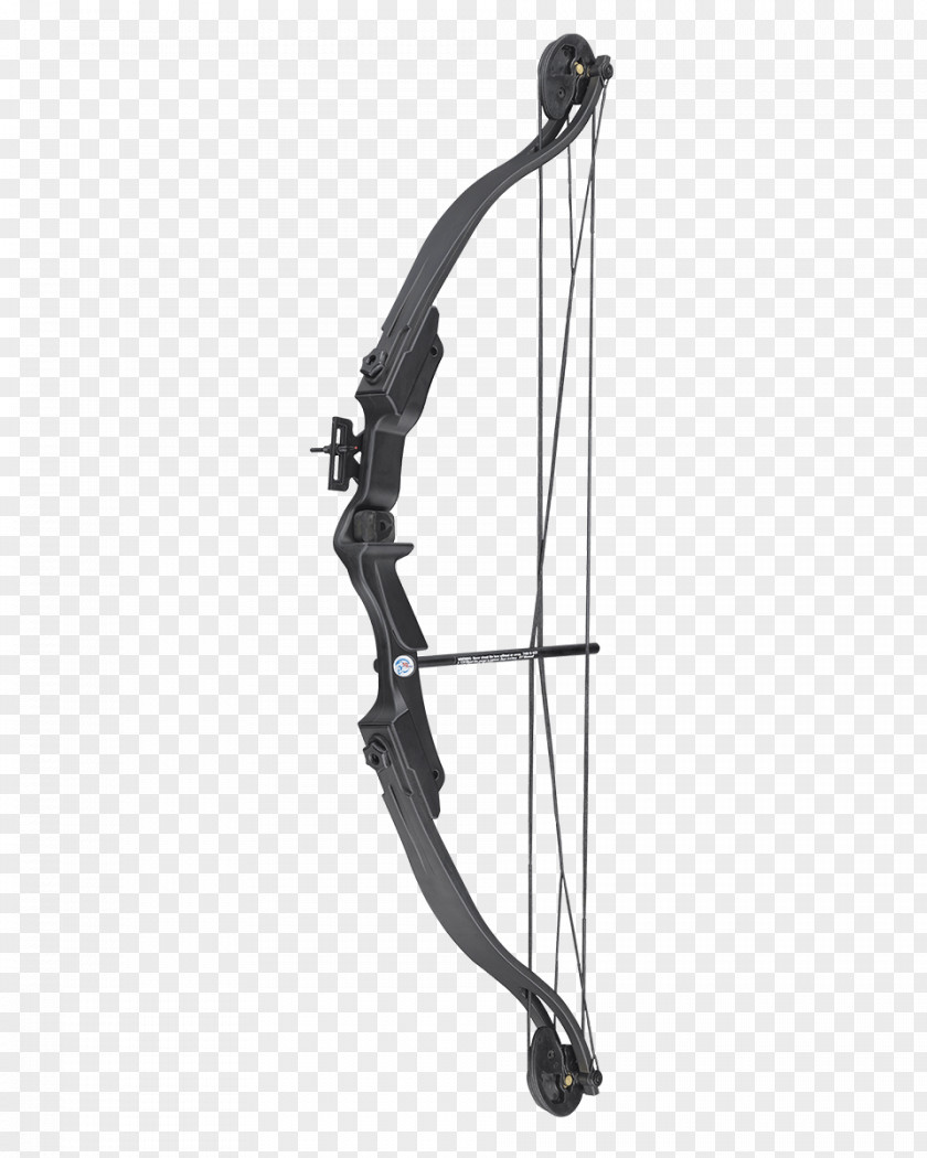 Bow And Arrow Compound Bows Archery PNG