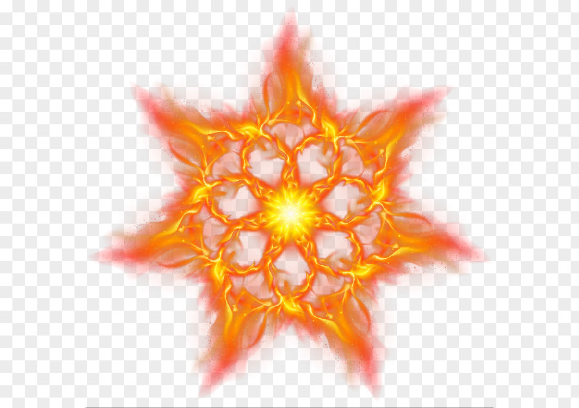 Burning Flowers Fire Euclidean Vector Icon PNG