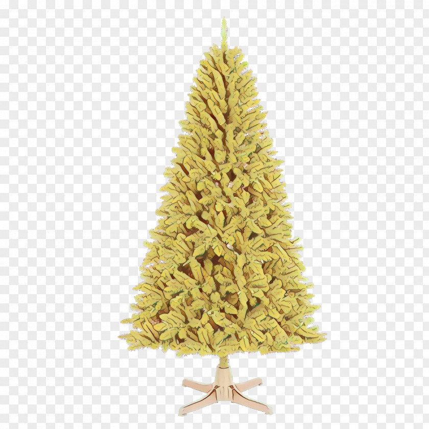 Conifer Woody Plant Christmas Tree PNG